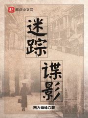 第一章 三点要求 _《迷踪谍影》小说在线阅读 - 起点中文网