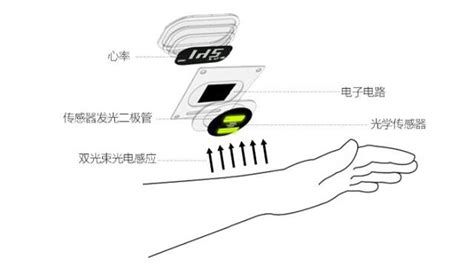 自研6通道光学传感器，更精确的运动数据，华米GTR3手表拆解_智能手表_什么值得买