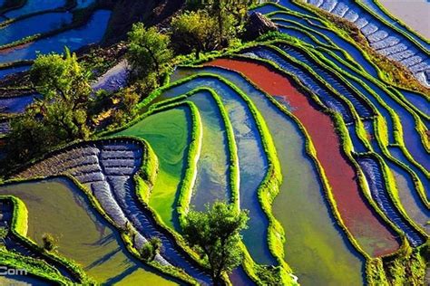 云南红河哈尼梯田湿地（云南红河有一处绝美梯田，被列为世界遗产，五彩斑斓景象壮观） - 生活 - 布条百科
