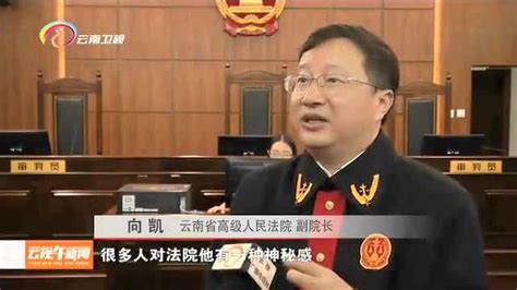 中国庭审公开网官网