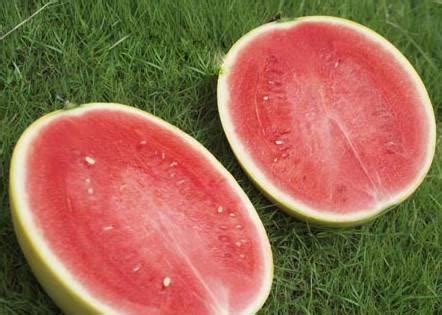 一般我们吃的零食西瓜子 是夏天常吃的西瓜里的籽吗|一般|我们-360GAME-川北在线