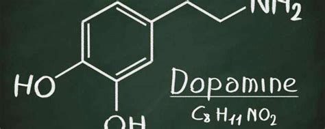分泌多巴胺是什么意思 - 天奇百科