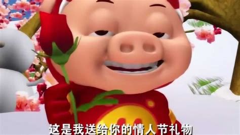 百变猪猪侠：小猪猪送给菲菲情人节礼物，亲手摘的玫瑰花！_腾讯视频