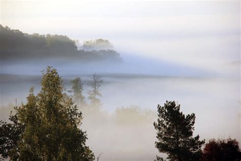 【雾凇岛的早晨摄影图片】雾凇岛的早晨风光摄影_rizhaolonglin_太平洋电脑网摄影部落