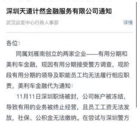有用分期、美利车金融创办人刘雁南被警方带走__财经头条