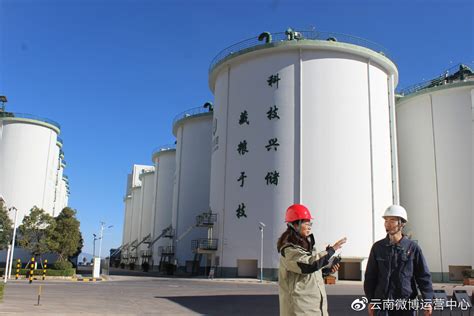 嘉吉全球第二大粮油加工厂完全投产_凤凰网