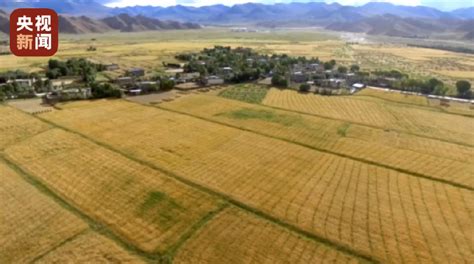 西藏阿里地区市场监管局公示2021年阿里地区食用农产品抽检合格信息-中国质量新闻网