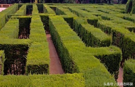 42个“令人难以置信的”树篱迷宫&花园迷宫设计；让花园更漂亮！