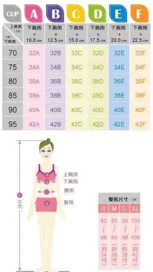 女士保暖内衣服装_文胸国际版标准尺码对照换算表_34b尺码怎么看? - 尺码通