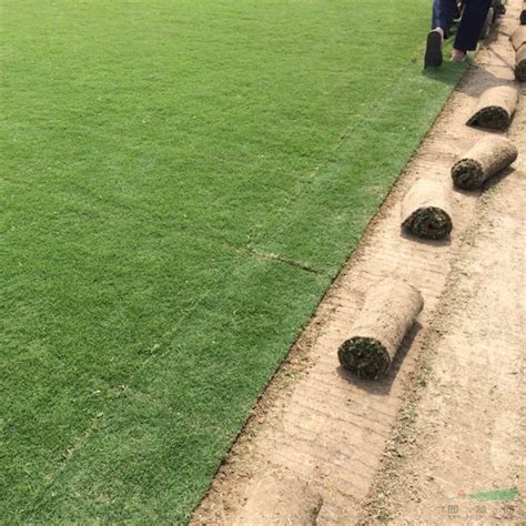 土质边坡防护植草挂三维网护坡几层的效果比较好