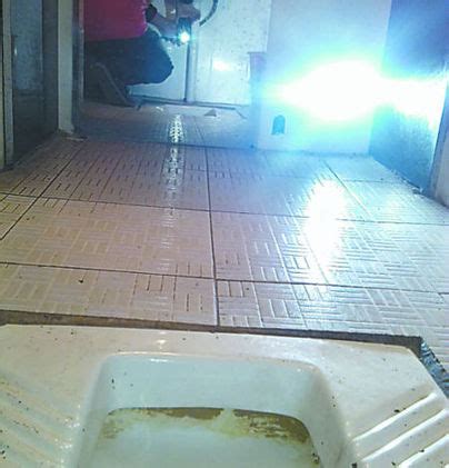 青羚网-饭店老板偷拍女顾客如厕被拘留