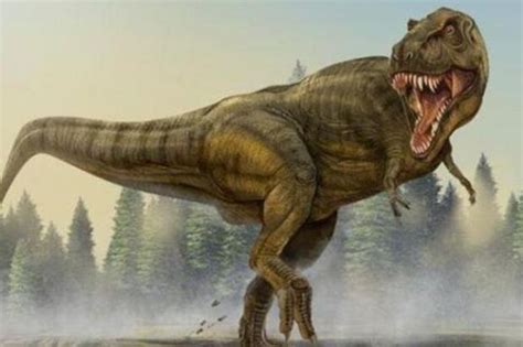 十大最强恐龙排名 最厉害的恐龙第一名是哪种：梁龙、异特龙_奇象网