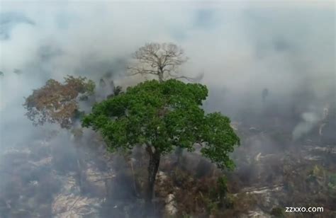 触目惊心！航拍火灾后亚马孙雨林浓烟缭绕 森林成焦土