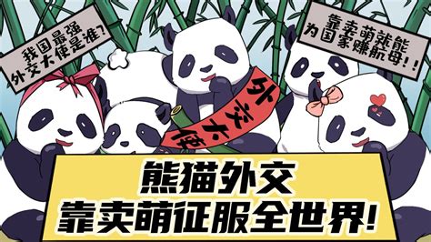 中国最佳外交官，大熊猫有多受欢迎？熊猫外交起源于武则天？_腾讯视频