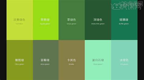 绿色最佳颜色搭配图(3)_配图网