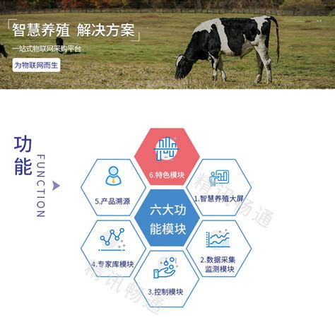 四川成都智慧养殖，智能养殖管理平台解决方案（重庆，贵州）