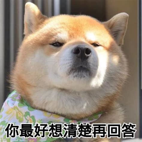 doggie萌贱表情包头像素材图片免费下载-千库网