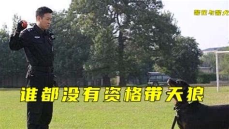 训导员探望被领养的退役警犬_凤凰网视频_凤凰网