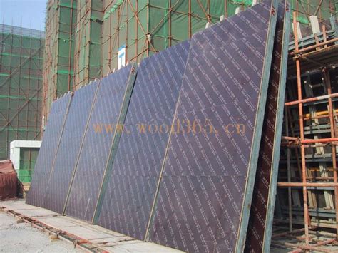 建筑模板，清水模板，木胶板，生态板，多-文安县润鹏木业有限公司