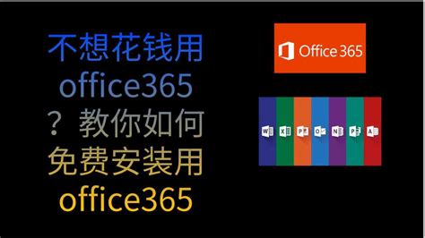 Office365和2016哪个好？Office365和2016区别详解 - 系统之家