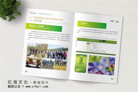 2020年《政府工作报告》量化指标任务完成了！-临沧市人民政府门户网站
