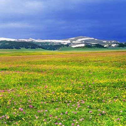 新疆伊犁恰西草原,国内旅游景点,旅游景点,摄影素材,汇图网www.huitu.com