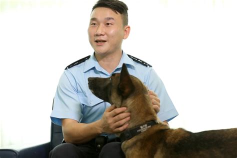 襄阳23岁带犬女特警：我最大的梦想就是能够训导出一条功勋犬，让它们代替我破案、追凶、缉毒……