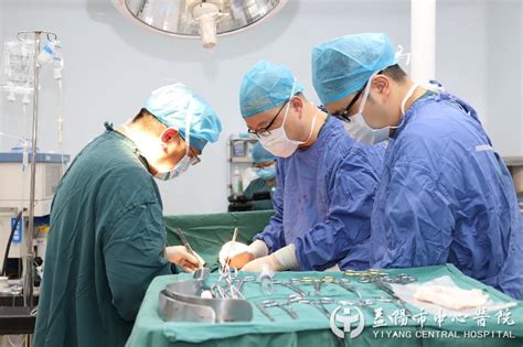 益阳市中心医院肾移植手术成效斐然——逾千名尿毒症患者获新生 - 益阳市中心医院