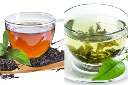 【红茶】【图】红茶和绿茶的区别 看了这些就知道_伊秀健康|yxlady.com