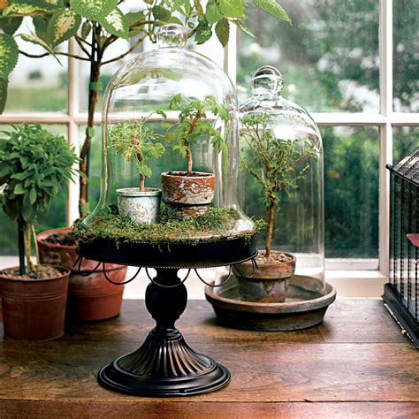 玻璃盆栽，让绿色驻留_闲暇时光 - 花卉网
