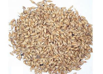 双麦精酿麦芽精品麦芽5kg真空包装澳麦芽小麦芽焦香麦芽特种麦芽-淘宝网