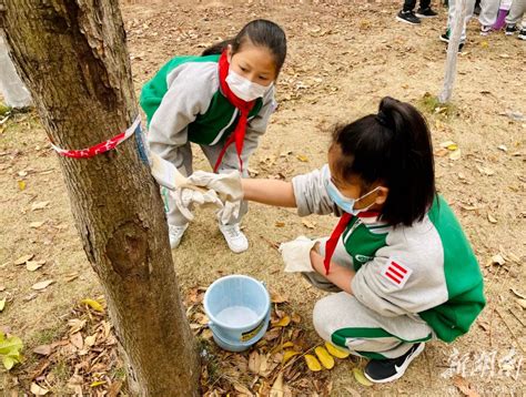 我给小树浇浇水——丰翼小学开展植树节实践教育活动