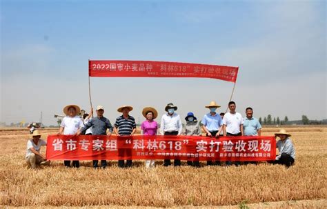 国审小麦新品种“科林618”实打验收获高产-中国农业科学院植物保护研究所