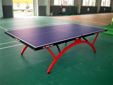 乒乓球台系列-沧州胜滨体育设备有限公司