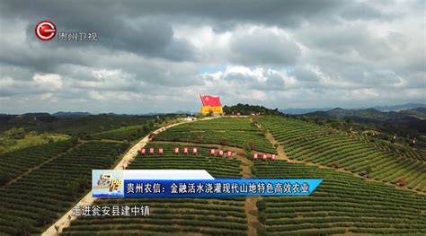 贵州卫视 | 贵州农信惠农于民，助力智慧乡村建设
