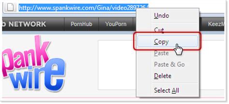 Free SpankWire Downloader: Download SpankWire Videos
