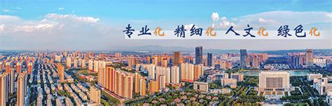 王烨主持召开2022年第3次 重大项目建设推进会_洛阳市涧西区人民政府