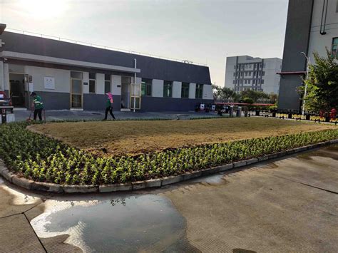 工厂案例_珠海市云天园林绿化工程有限公司