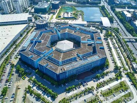 游学天下-走进比亚迪深圳总部，学习比亚迪品牌升级与创新