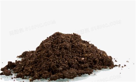 家里的盆栽花的泥土你是选择泥炭土吗-肇庆越洋泥炭土科技公司