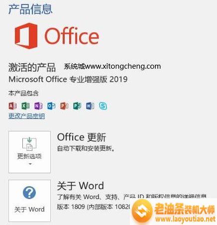 Office 2019 专业增强版密钥(绑定邮箱) - 微软正版商城