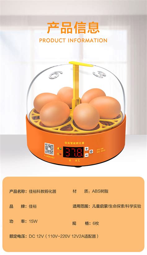暖福宝孵化机全自动智能家用型小鸡孵化器小型孵蛋器鸡苗孵化箱-阿里巴巴