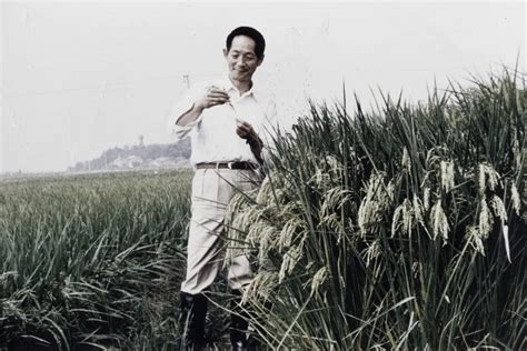 “杂交水稻之父”袁隆平逝世，享年91岁