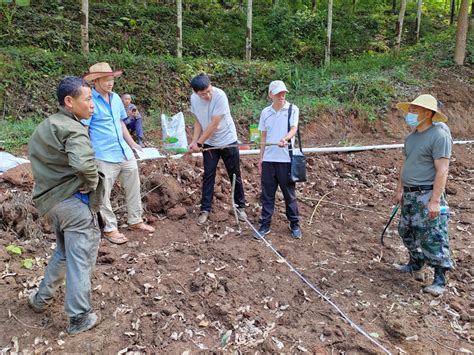 景洪市农业技术推广中心开展大豆玉米带状复合种植技术现场培训