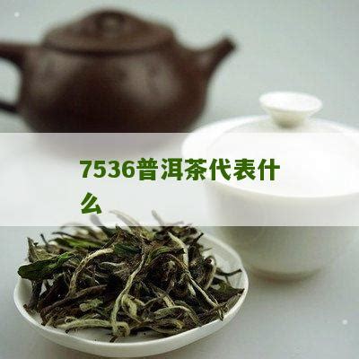 7536普洱茶代表什么_普洱茶