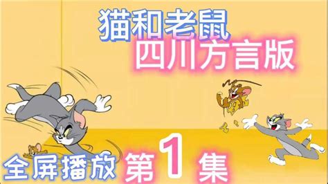 第1集猫和老鼠四川方言版，爆笑配音，风车车和假老练，全屏播放