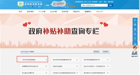 多彩贵州网 -2019年省网上政务服务能力调查评估结果出炉