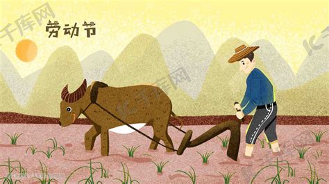 五一劳动节老牛耕地种地农民插画图片-千库网