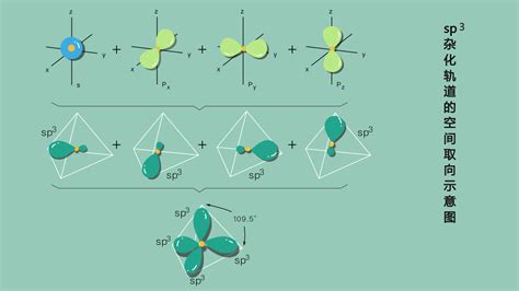 人教版高中化学选修三 2.2《分子的立体结构》教案（2课时）-21世纪教育网