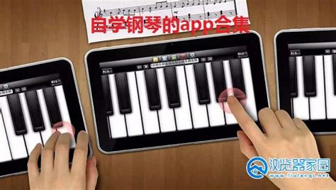 自学钢琴的app-可以自学钢琴的软件有哪些-成人自学钢琴app推荐-浏览器家园